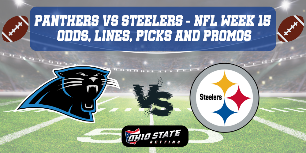Carolina Panthers VS Pittsburgh Steeler NFL Week 15 odds, lines, picks and promos